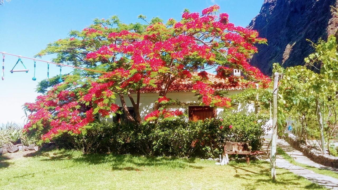 فيلا Faja Dos Padres ريبيرا برافا المظهر الخارجي الصورة